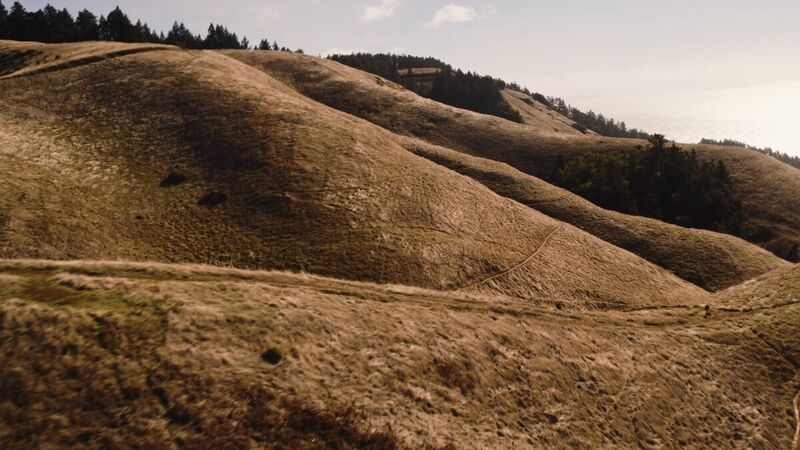 Golden rolling hills under soft light — aerial still from the Woodson reel